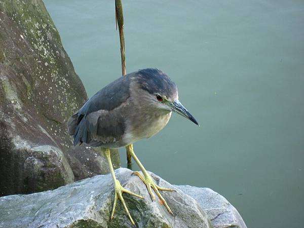 Image00044.jpg