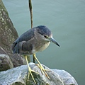 Image00044.jpg