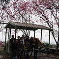 IMG_9963.JPG