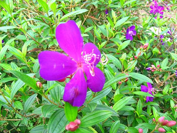 Image00027.jpg
