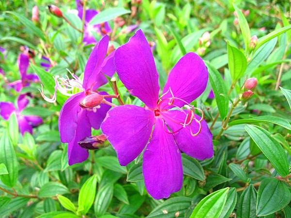 Image00030.jpg