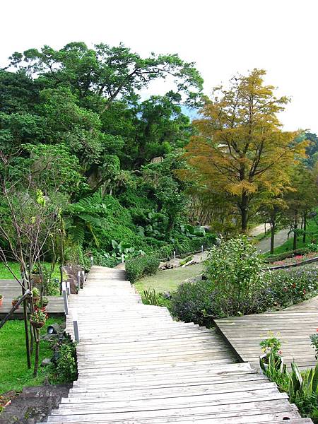 Image00036.jpg
