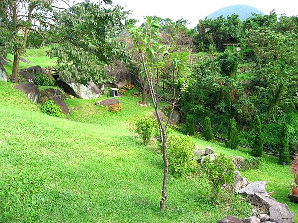 Image00037.jpg