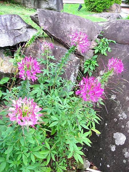 Image00121.jpg