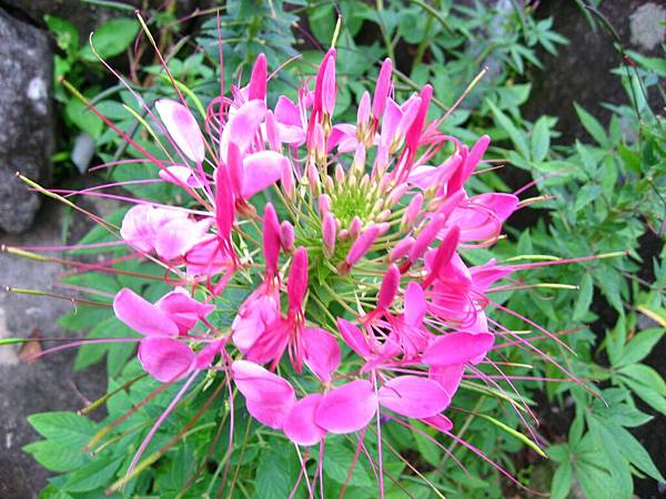 Image00123.jpg