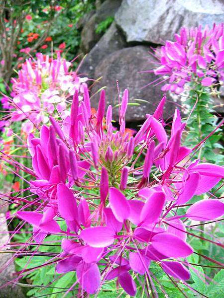 Image00124.jpg
