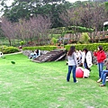 Image00126.jpg