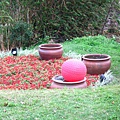 Image00127.jpg
