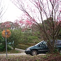 IMG_5138.JPG