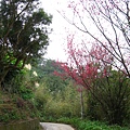 IMG_5140.JPG