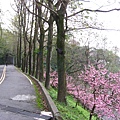 IMG_5143.JPG