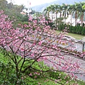 IMG_5144.JPG