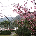 IMG_5147.JPG