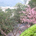 IMG_5148.JPG