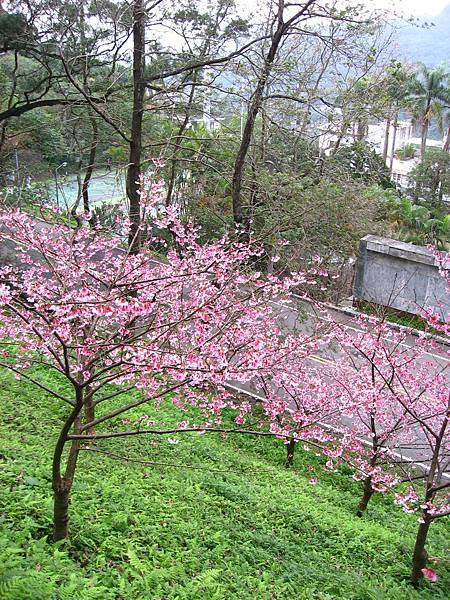 IMG_5149.JPG