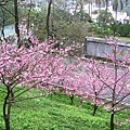 IMG_5150.JPG