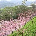 IMG_5151.JPG