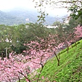 IMG_5153.JPG