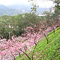 IMG_5155.JPG