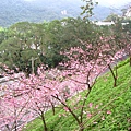 IMG_5156.JPG