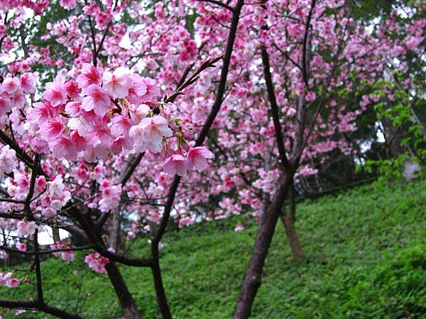 IMG_5158.JPG