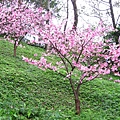 IMG_5161.JPG