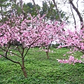IMG_5162.JPG