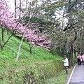 IMG_5163.JPG