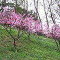 IMG_5164.JPG