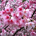 IMG_5169.JPG