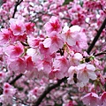 IMG_5170.JPG