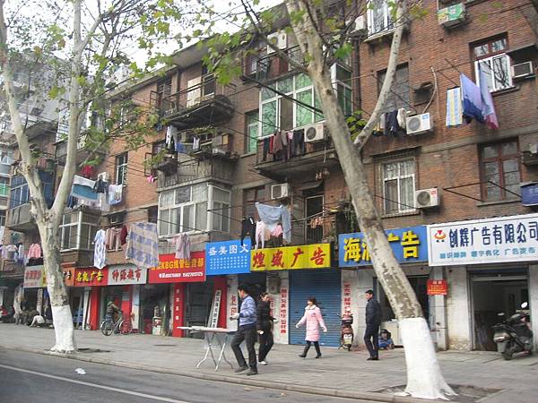 IMG_7175.jpg
