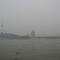 IMG_7196.jpg