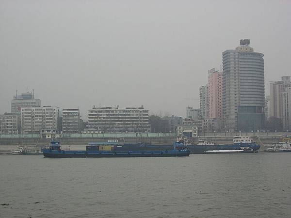 IMG_7203.jpg