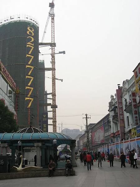 IMG_7263.jpg