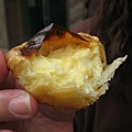 IMG_7285.jpg