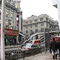 IMG_7291.jpg