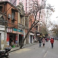 IMG_7321.jpg