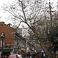 IMG_7327.jpg