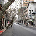 IMG_7328.jpg