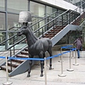 IMG_7343.jpg