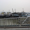 IMG_7349.jpg
