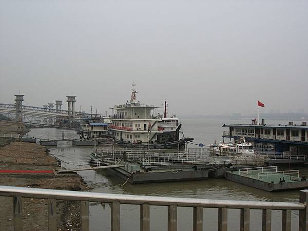 IMG_7351.jpg