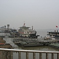 IMG_7351.jpg