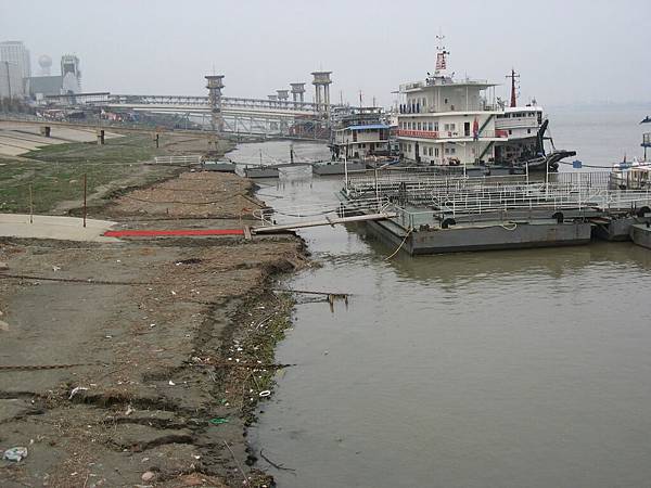 IMG_7352.jpg