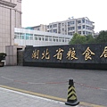 IMG_7356.jpg