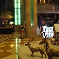 IMG_7403.jpg