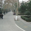 IMG_7488.jpg