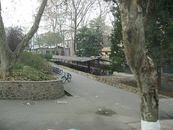 IMG_7489.jpg