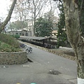 IMG_7489.jpg